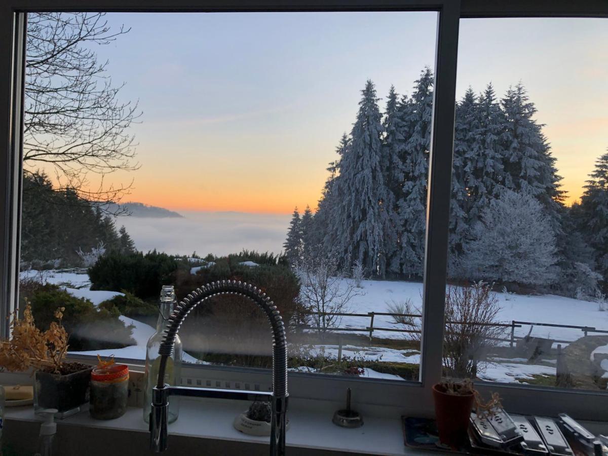 Le Chalet De La Goutte Saint-Appolinaire  Exteriör bild